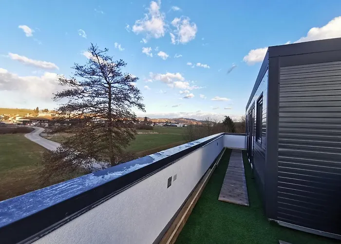 Apartment Roof Art-pe *