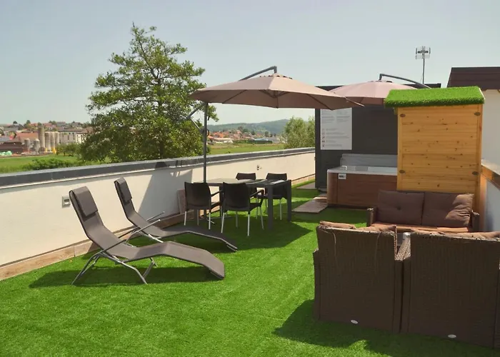 Apartment Roof Art-pe *